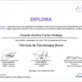 Acercar imagen: certificate 11