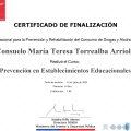 Acercar imagen: certificate 65