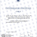 Acercar imagen: certificate 6