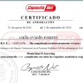Acercar imagen: certificate 3