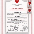 Acercar imagen: certificate 2