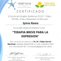 Acercar imagen: certificate 6