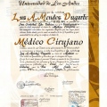 Acercar imagen: certificate 1