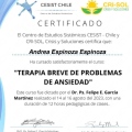 Acercar imagen: certificate 19