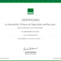 Acercar imagen: certificate 35