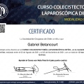 Acercar imagen: certificate 5