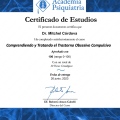 Acercar imagen: certificate 10