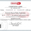 Acercar imagen: certificate 6