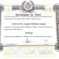Acercar imagen: certificate 5