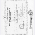 Acercar imagen: certificate 2