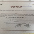 Acercar imagen: certificate 9