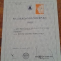 Acercar imagen: certificate 5