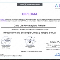 Acercar imagen: certificate 5