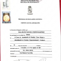 Acercar imagen: certificate 6