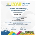 Acercar imagen: certificate 3