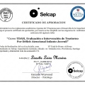 Acercar imagen: certificate 4