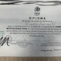 Acercar imagen: certificate 19