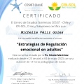 Acercar imagen: certificate 9