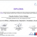 Acercar imagen: certificate 14