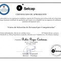 Acercar imagen: certificate 2