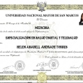 Acercar imagen: certificate 5
