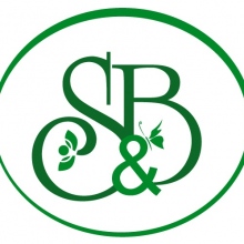 Consulta Psicologica