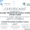 Acercar imagen: certificate 16