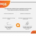 Acercar imagen: certificate 12