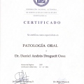 Acercar imagen: certificate 6
