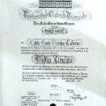 Acercar imagen: certificate 5