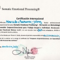 Acercar imagen: certificate 5