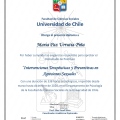 Acercar imagen: certificate 6