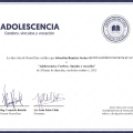 Acercar imagen: certificate 7