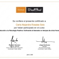 Acercar imagen: certificate 4