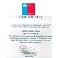 Acercar imagen: certificate 13