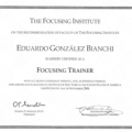 Acercar imagen: certificate 3