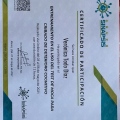 Acercar imagen: certificate 1