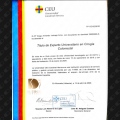 Acercar imagen: certificate 7