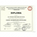 Acercar imagen: certificate 6