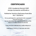 Acercar imagen: certificate 5