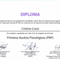 Acercar imagen: certificate 4