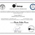 Acercar imagen: certificate 5