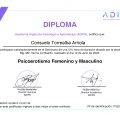 Acercar imagen: certificate 94