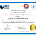 Acercar imagen: certificate 5
