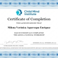 Acercar imagen: certificate 4