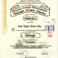 Acercar imagen: certificate 1