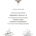 Acercar imagen: certificate 9