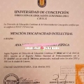 Acercar imagen: certificate 5