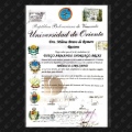Acercar imagen: certificate 2