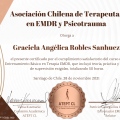Acercar imagen: certificate 3